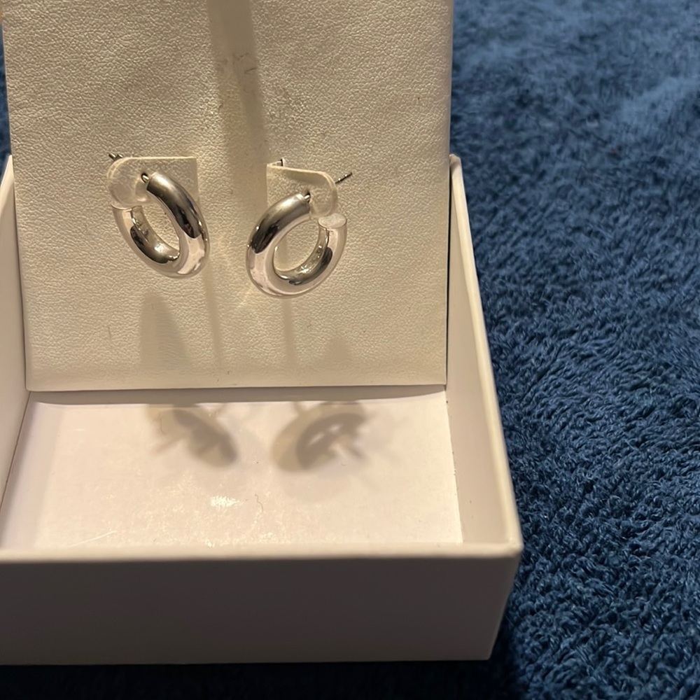 Women’s earrings